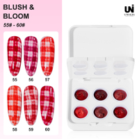 Ensemble de vernis à ongles liquide gel 2-en-1 à base d'eau, 6 couleurs, 12g, effet ombré, pour usage professionnel en salon, longue tenue, écologique