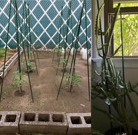 Piquets pour plantes grimpantes en acier Support pour plantes en pot Tomates et fleurs