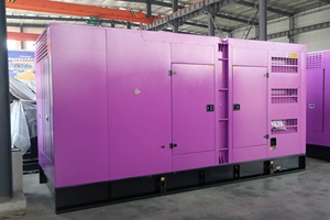 Générateur triphasé super silencieux de 750 KVA avec option moteur alternateur - Product Image 3