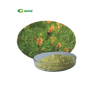 Natural plant extract pine pollen extract 5:1 10:1 20:1 powder