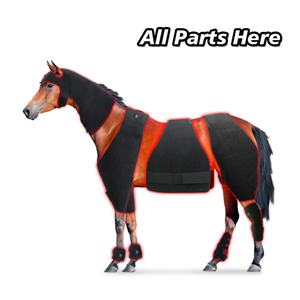 Enveloppe de thérapie par lumière rouge équine 660nm 850nm, couverture infrarouge réutilisable pour chevaux et chiens, soulagement de la douleur et récupération musculaire - Product Image 3