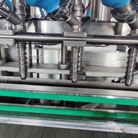 Machine de remplissage de chauffage à 6 têtes entièrement automatique de haute qualité pour le capsulage de remplissage de pâte liquide de shampooing de parfum de cosmétiques