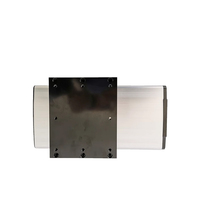 GF150 Module de table coulissante linéaire à vis à billes Module de guidage linéaire Joint anti-poussière Charge lourde