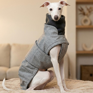 Acheter en ligne des vêtements pour animaux de compagnie, veste pour chien, vêtements d'hiver, imperméable, pour lévrier, whippet, <span class=keywords><strong>lurcher</strong></span>, manteau pour chien - Product Image 6