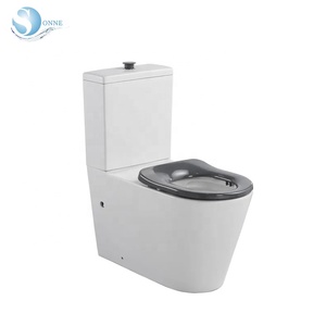 <span class=keywords><strong>WC</strong></span> <span class=keywords><strong>per</strong></span> <span class=keywords><strong>disabili</strong></span> standard australiano, toilette in due pezzi, <span class=keywords><strong>WC</strong></span> accessibile - Product Image 2