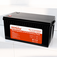 Batterie au lithium-ion solaire à décharge profonde PATTERN Prismatic LiFePO4 Cell 12.8V 200Ah 2.56kWh 6000 cycles 200A