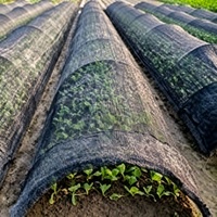 Agrarische kas schaduwnetrollen HDPE UV-gestabiliseerd heavy-duty kwekerij gewasbescherming plantenafdekking