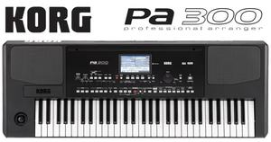 Clavier de piano arrangeur professionnel KORG PA300 OEM Garantie 1 an - Product Image 4