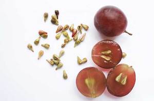 Tự nhiên tinh khiết hạt nho chiết xuất OPC bột 95% proanthocyanidin chiết xuất hạt nho - Product Image 2