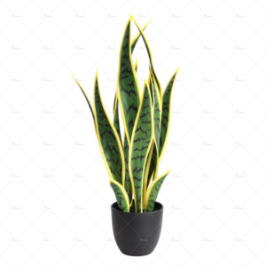 Plante serpent artificiel résistant aux UV | Usine directe | Faux <span class=keywords><strong>Sansevieria</strong></span> abordable pour la décoration intérieure et extérieure - Product Image 1