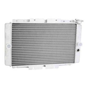 Refroidisseur d'eau de moteur tout-terrain <span class=keywords><strong>Quad</strong></span> Parts 5UGE24610000 radiateur entièrement en aluminium pour réservoir d'eau de refroidissement <span class=keywords><strong>YAMAHA</strong></span> RHINO - Product Image 1