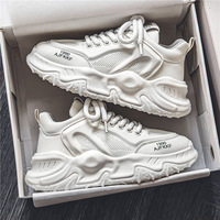 Baskets décontractées blanches à lacets pour hommes, style coréen et hongkongais, nouvelles arrivées printemps, chaussures tendance pour papa, tige en PU antidérapante