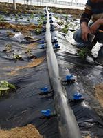 Vanne de raccordement en plastique pour tuyau d'irrigation goutte à goutte, vanne de dérivation multifonction pour ruban goutte à goutte 16 mm