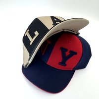 Gorra de Béisbol de Algodón de 6 Paneles con Bordado 3D en Dos Tonos, Estilo Moderno, Personalizable con Logotipo, para Equipos Deportivos, para Hombre