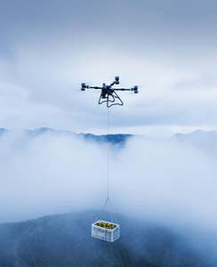 Oferta Especial: Dron dji Agres T100 con Control de Vuelo Estándar, Módulo GPS Dual para Agricultura UAV, Comparado con el Dron Pulverizador T50 T70 - Product Image 4