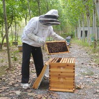 Nouvelle ruche Langstroth Witbee à 2 couches et 10 cadres, en sapin de Chine, épaisseur 20 mm, avec boîtes super moyennes enduites de cire, pour usage en apiculture, garantie 2 ans