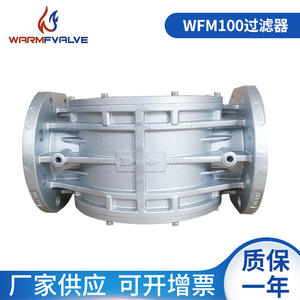 Filtros de Brida DN100 para Gas Natural, Colector de Polvo para Tuberías, Filtros de Gas de Fundición por Gravedad, Suministros del Fabricante - Product Image 2