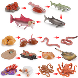Simulazione del Ciclo di Crescita degli Animali in PVC, Giocattoli Educativi Montessori Fatti a Mano per Bambini: Pollo, Anatra, Oca, Farfalla, Tartaruga, Rana - Product Image 4