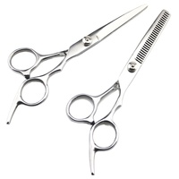 Ensemble professionnel de ciseaux à cheveux en acier inoxydable pour droitiers, ciseaux à effiler pour salon de coiffure avec 26 dents