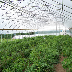 गर्म बिक्री कम लागत सुरंग तुर्की में हाइड्रोपोनिक ग्रीनहाउस - Product Image 5