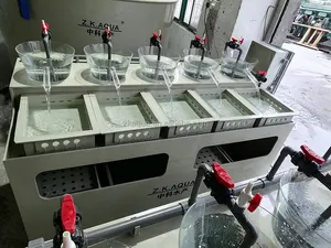 professional RAS system hatchery other aquaculture equipment fish egg tilapia incubator