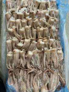 Xúc Tu/Đầu Mực Đông Lạnh - Product Image 6