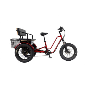 A lungo raggio Ebike 3 ruote <span class=keywords><strong>bici</strong></span> elettrica <span class=keywords><strong>Cargo</strong></span> 48v tricicli elettrici per adulti pesanti 1000w all'ingrosso trike elettrici - Product Image 3