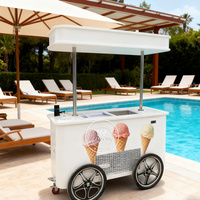 Mini affichage de congélateur 220V pour crème glacée yaourt lait eau salade de fruits chariot de vente condition nouveau