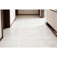 Nouveau produit : Carrelage de salon en porcelaine rustique 600x600, finition mate