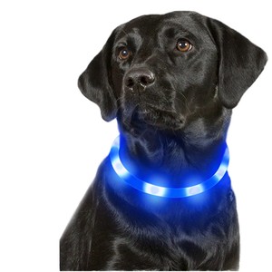 यूएसबी चार्जिंग पीसी के लिए चमकदार सरल क्लासिक कुत्ते कॉलर का नेतृत्व उच्च दृश्यता रात सुरक्षा - Product Image 1