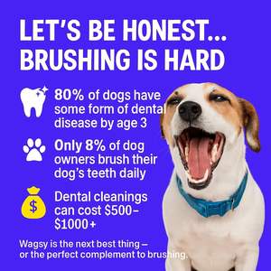 Solution personnalisée <span class=keywords><strong>de</strong></span> soins dentaires pour animaux <span class=keywords><strong>de</strong></span> compagnie OEM/ODM, solution <span class=keywords><strong>de</strong></span> santé bucco-dentaire pour chiens et chats, rafraîchit l'haleine, réduit la plaque et le tartre - Product Image 5