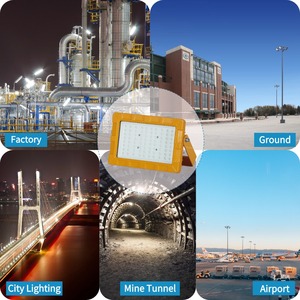Industrial Hazardous Area <strong>Lighting</strong> 50W/100W/200W IP65 <strong>Explosion</strong>-<strong>Proof</strong> Light - Product Image 6