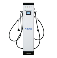 Chargeur de véhicule électrique Bluesky 43 kW-100 kW à montage au sol avec triple norme Type 1, Type 2, GBT pour parkings commerciaux