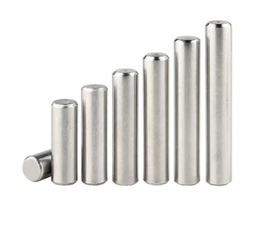 304 thép không gỉ hình trụ <span class=keywords><strong>pin</strong></span>, <span class=keywords><strong>pin</strong></span> định vị, <span class=keywords><strong>c</strong></span>ố định <span class=keywords><strong>pin</strong></span>, <span class=keywords><strong>pin</strong></span>, rắn <span class=keywords><strong>Pin</strong></span> - Product Image 5
