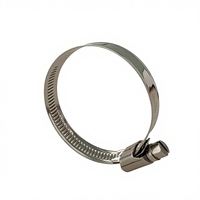 Collier de serrage de type allemand pour tuyau de radiateur 12 mm, collier de serrage à vis sans fin en acier inoxydable SS304