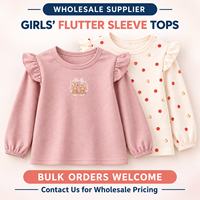 Op maat gemaakte meisjes shirts met vlindermouwen, lange mouwen, basislaag, kinder- en peuter shirts met ronde hals, OEM ODM groothandel leverancier