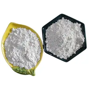 Factory directly Dry and Wet Mica Powder 325 1000 1250 6000 Mesh White Color Talc