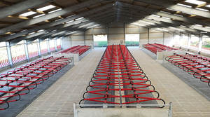 ストール中国製製造価格乳牛フリーストール牛用農機具用 - Product Image 3