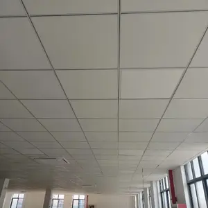 Faux plafond décoratif de panneau de gypse stratifié par PVC de plâtre de hall de bureau