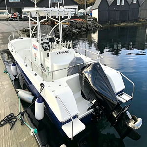 8.50m New Model Frp Center Console Fishing <strong>Yacht</strong>, Yamane <strong>Yacht</strong> with Canopy - Product Image 4
