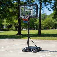 Panier de Basketball Portable pour Adultes avec Panneau Transparent en PVC de 110x75cm et Cadre en PE