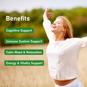 Gomitas de Complejo de Hongos con Sabor de Marca Privada, Suplementos para la Vitalidad y Claridad Mental, Potenciador Cognitivo, Gomitas Energéticas Inmunitarias - Product Image 3
