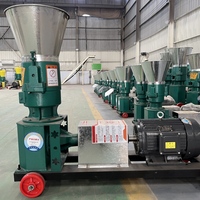 Machine à granulés d'aliments automatique en acier inoxydable pour ferme, haute productivité, 220V, 500kg/h, pour l'alimentation du bétail