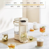 Bouilloire électrique en acier inoxydable de grande capacité 2,5 L, contrôle numérique de la température, arrêt automatique, usage domestique