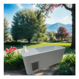 2024 All In 1 Acrylic All In 1 Cold Plunge Tub With Chiller And Heater Outdoor Sports Recovery Outdoor Ice Bath Tub