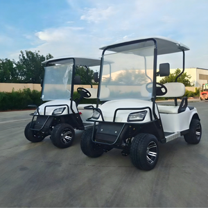 Voiturette de golf électrique personnalisable à grande vitesse, 4 places, moteur 48V 5KW, pneus de 14 pouces - Product Image 4