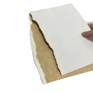 Ckb Rollos de papel de tablero de papel Kraft con revestimiento frontal blanco de alta rigidez de 250gsm para un buen material de embalaje