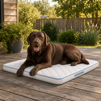 Backyard Deck Golden Hour Outdoor Hundematte mit Schaumstoff- und Taschenfederkern-Schichtunterstützung für große Hunde OEM Haustierbett
