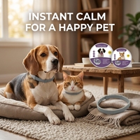 Collier apaisant CHANSON en gros pour chats et chiens, à ingrédients naturels, réglable, à la lavande, pour réduire l'anxiété et favoriser le calme