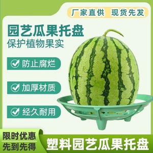 Soporte de plástico verde para sandía, bandeja para melón, estante de cultivo para jardín - Product Image 4